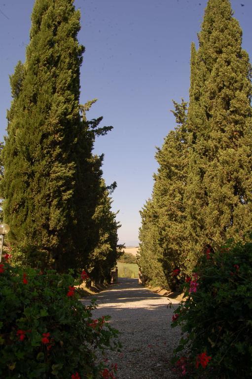 Agriturismo San Francesco Amalia And Anna Orciatico المظهر الخارجي الصورة