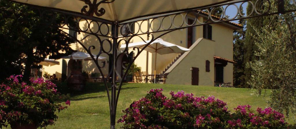 Agriturismo San Francesco Amalia And Anna Orciatico المظهر الخارجي الصورة